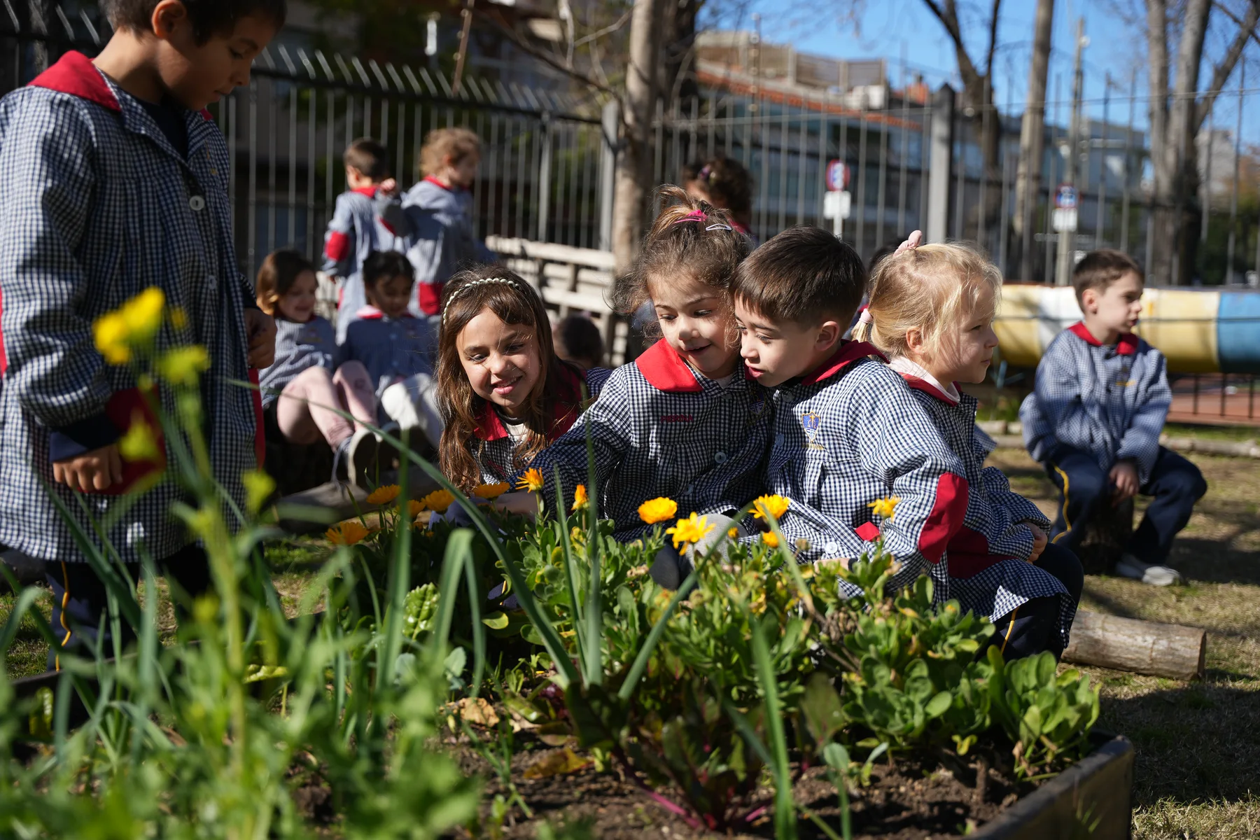 Escena de Inicial en el Colegio Maturana.