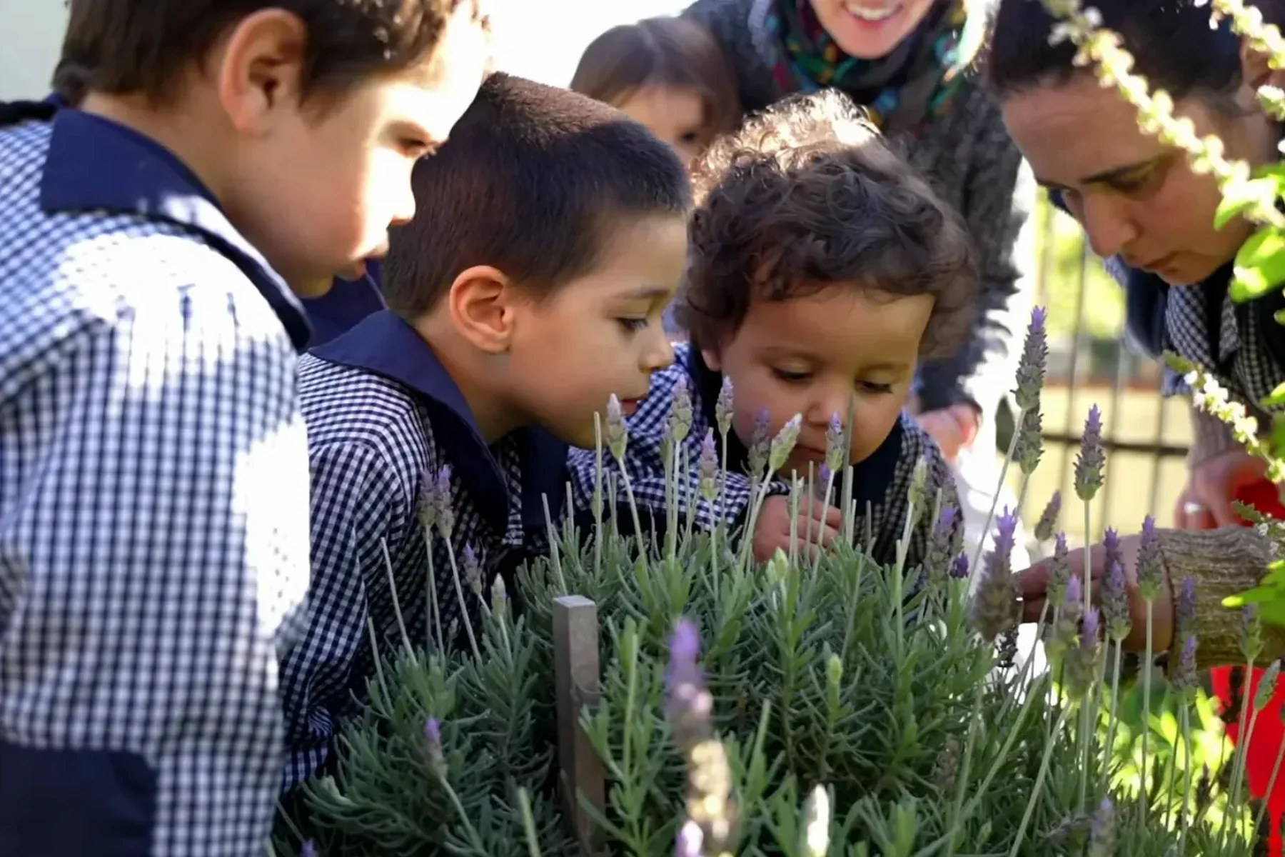 Niños de Maternal participando en una experiencia de huerta.
