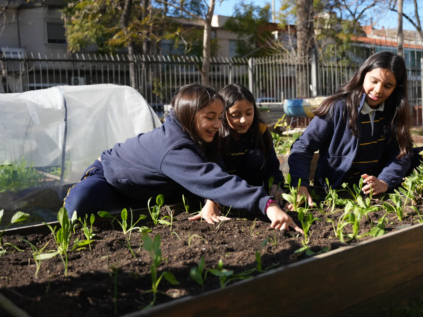 Niños de Primaria compartiendo en el patio del colegio.
